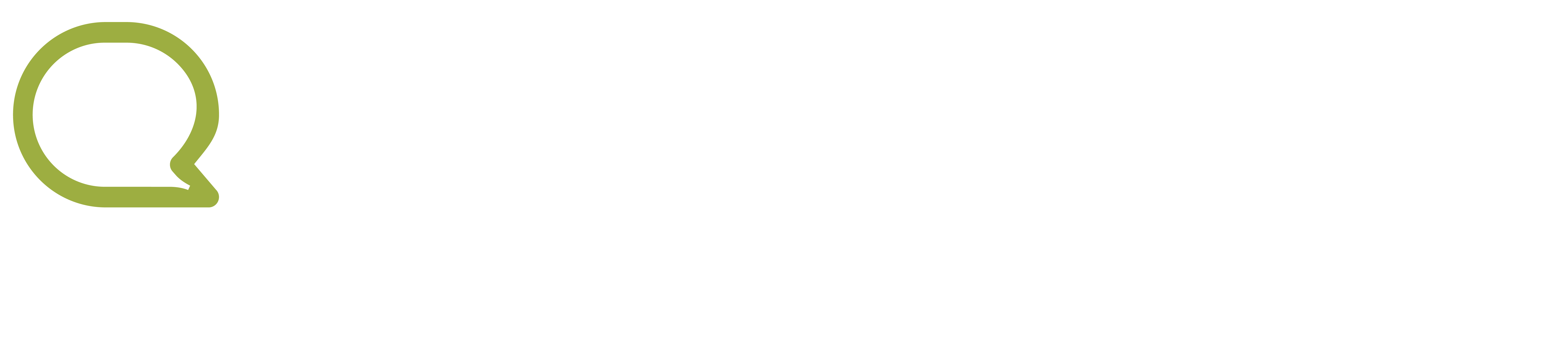 Evelyn Spreitzer Consulting Logo